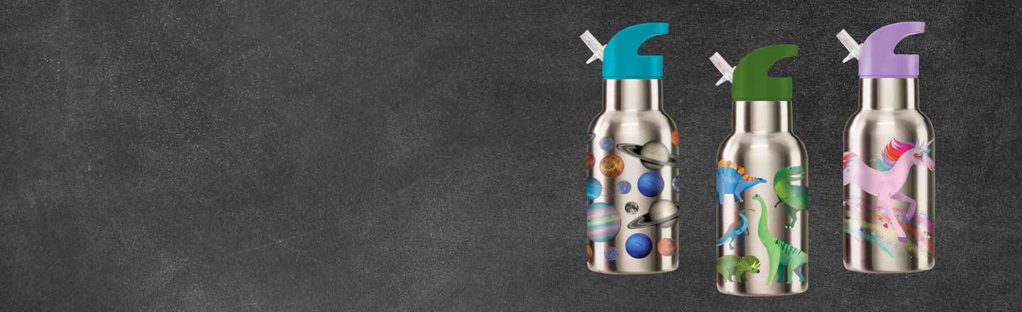 Stainless Steel Water Bottles