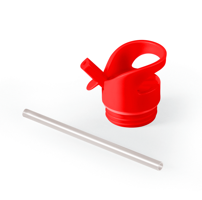 Stainless Bottle Lid & Straw Set